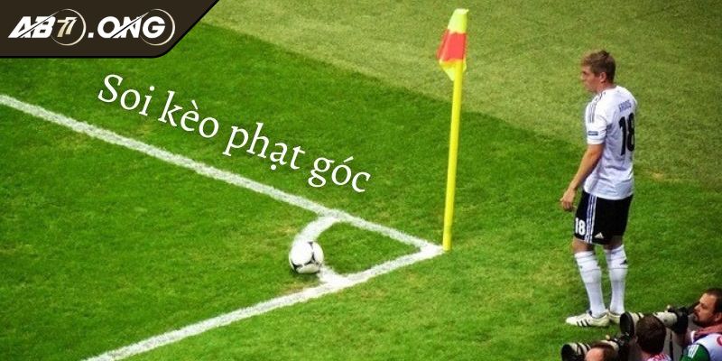 Tham khảo nhận định chuyên gia